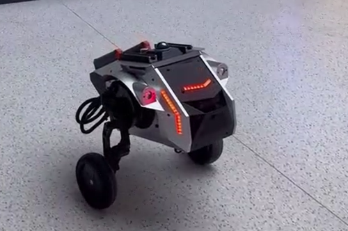 双轮足复合机器人